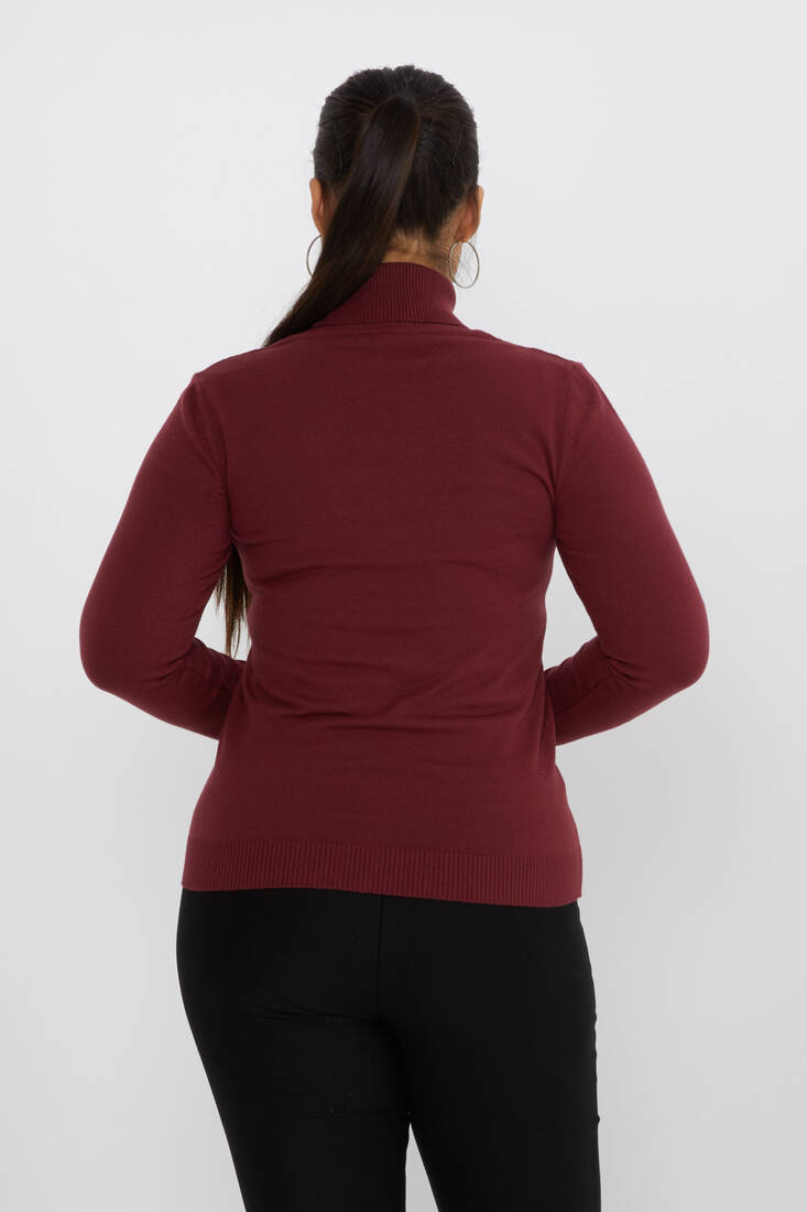 Women's Knitwear Stone Turtleneck Burgundy - 31151 | KAZEE